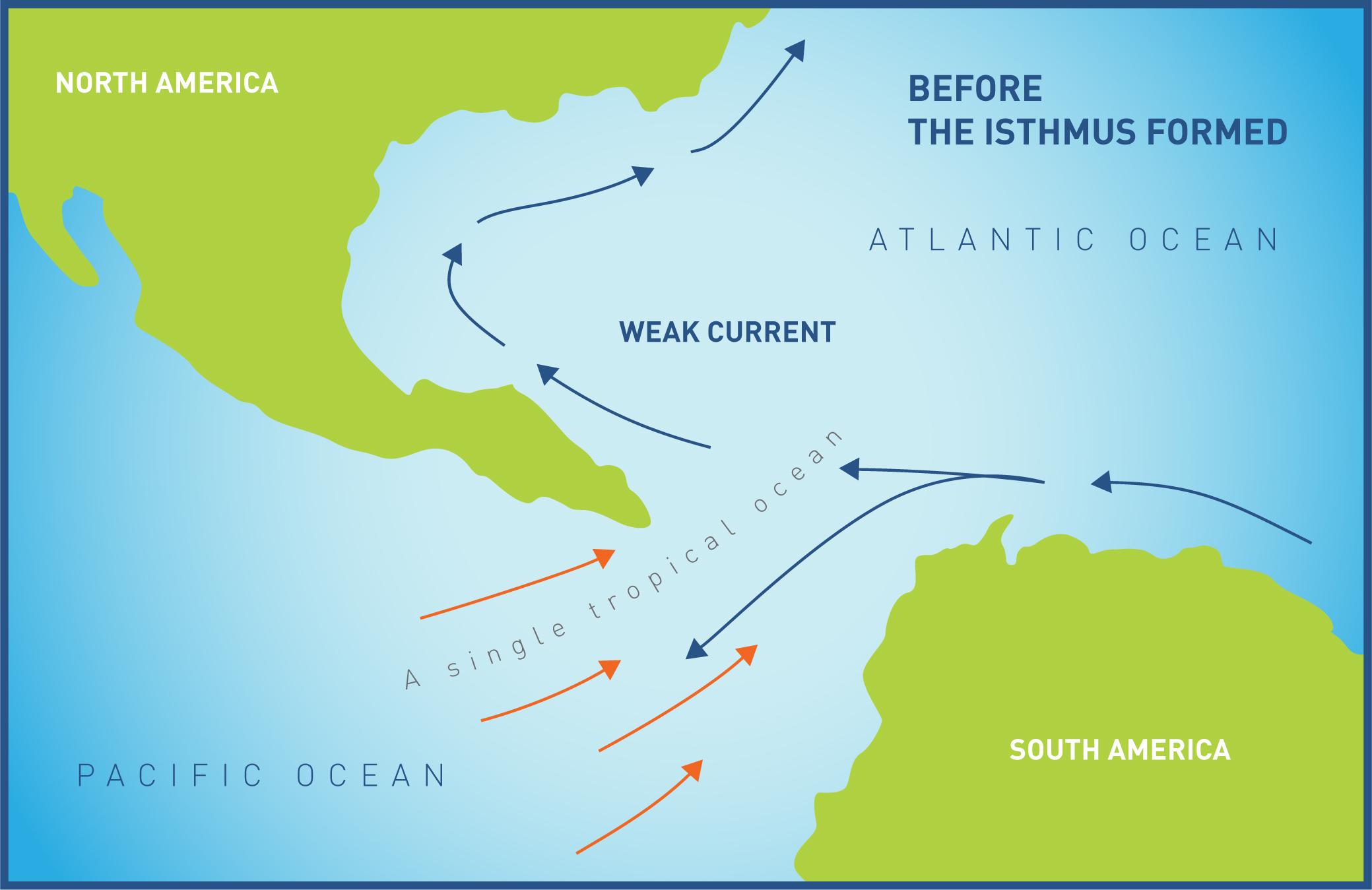 Panama Canal Project: Fossils and Global Change | Smithsonian Global 
